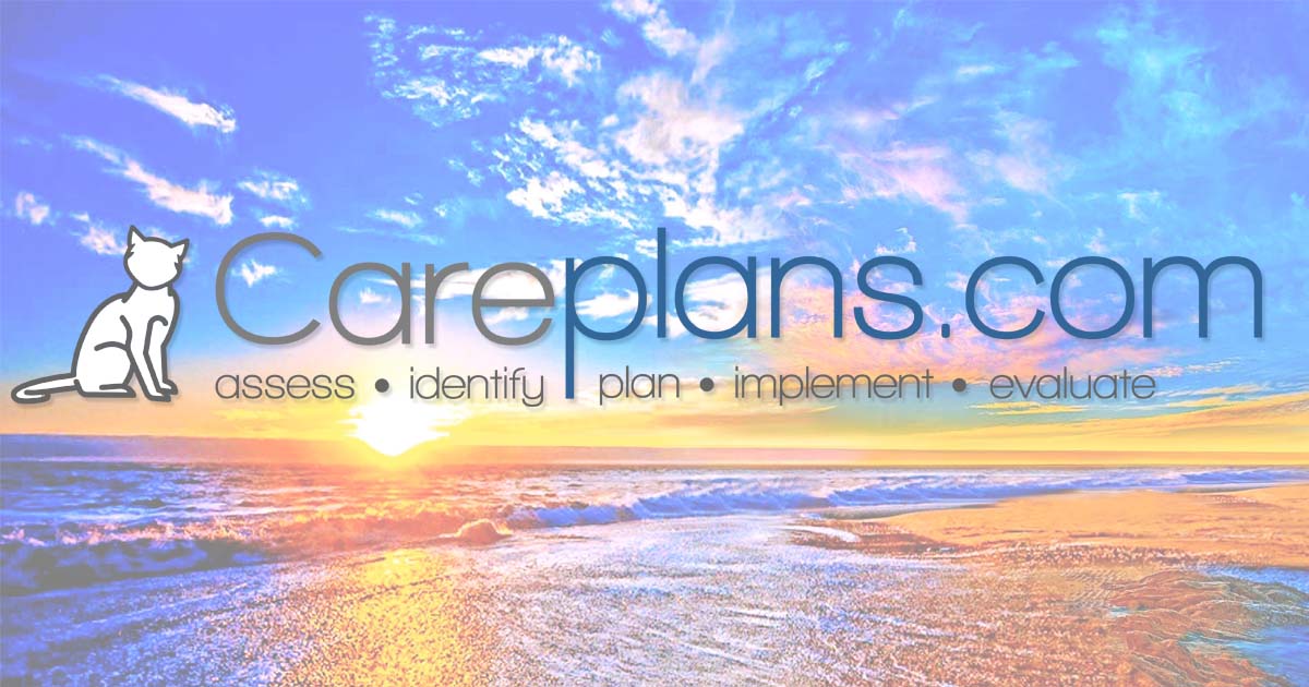 CarePlans.com