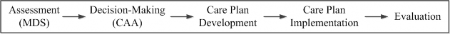 Assessment (M D S) Decision-making (C A A) Care Plan Development Care Plan Implementation Evaluation Assessment (M D S) Decision-making (C A A) Care Plan Development Care Plan Implementation Evaluation